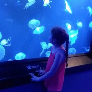 Meet your Posher, Paula